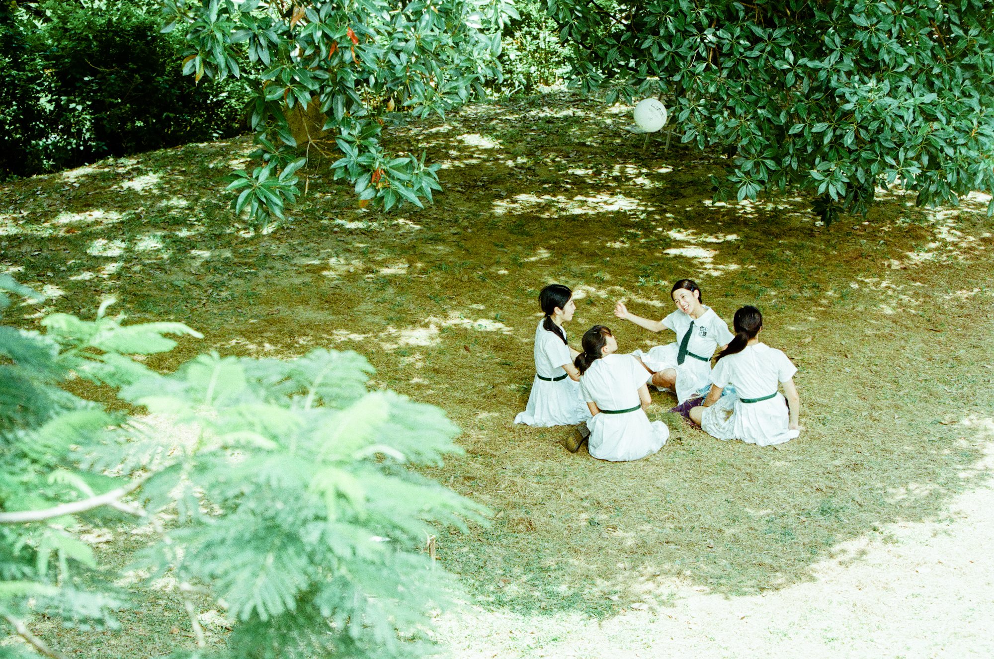 http://www.119127.cn/pics/default/download/f967712b25ae9b53629a06b18a9acc93.jpg