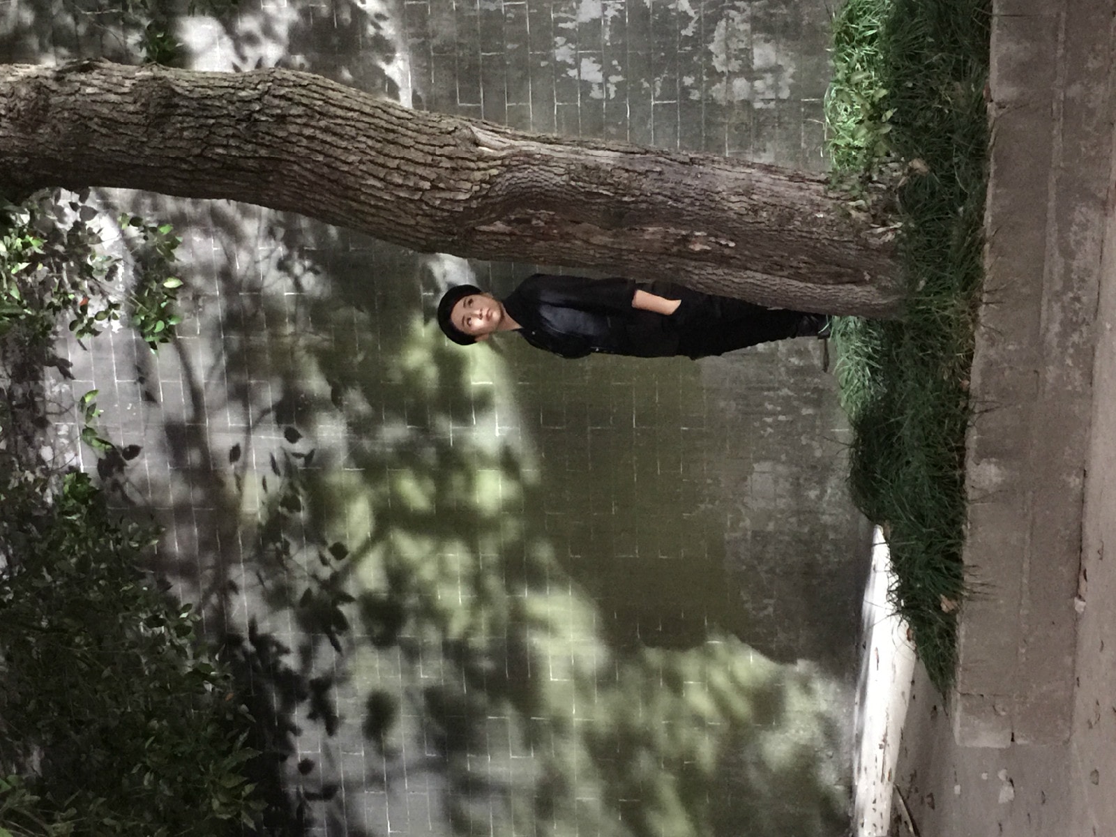 http://www.119127.cn/pics/default/download/f99832f8524da305c364d8be164af75e.jpg