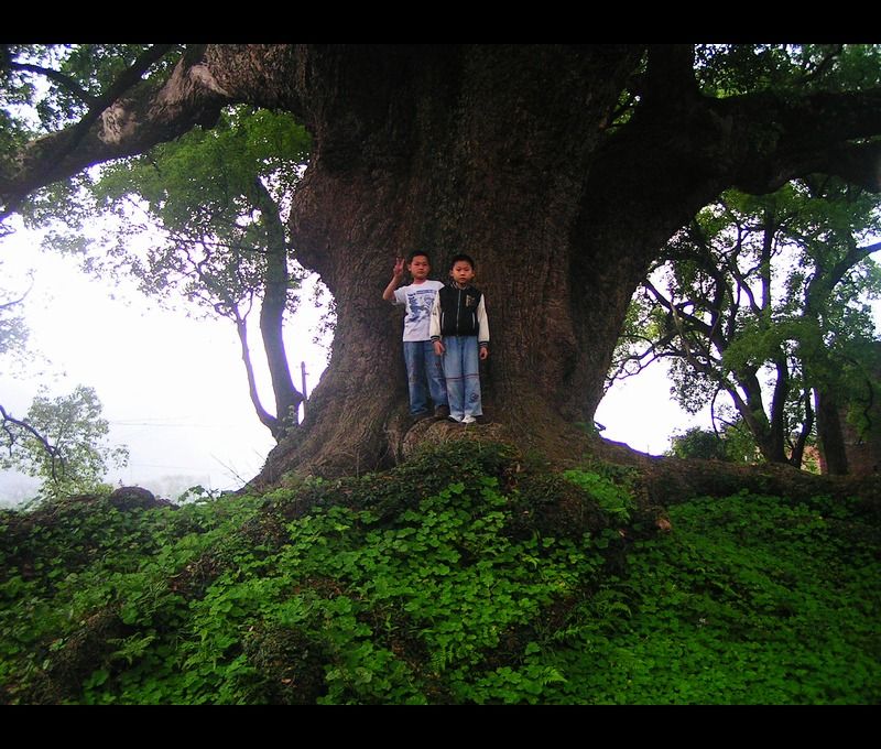 http://www.119127.cn/pics/default/download/fafd523fcdc369d9d9da65d32bbcd603.jpg