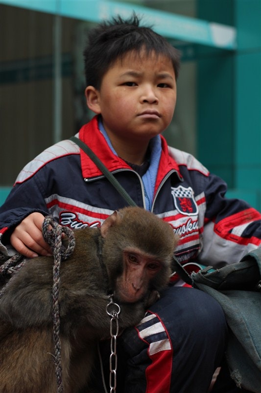 http://www.119127.cn/pics/default/download/fb12f53d07fbeb25a6f4f912e40bec7b.jpg