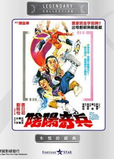 陰陽奇兵