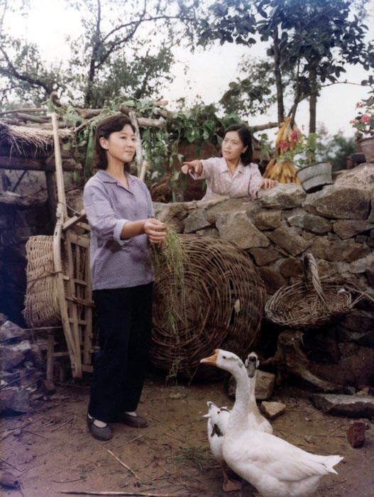 http://www.119127.cn/pics/default/download/fc867deaccd8c143156f81c2146044dc.jpg