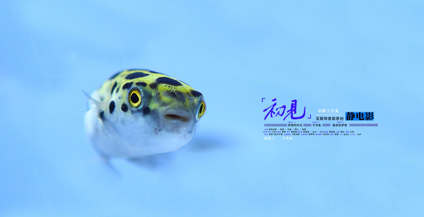 http://www.119127.cn/pics/default/download/fc9c52bf02ee359c8e3134ed50f55e9f.jpg