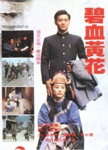 碧血黃花