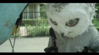 變異獸－預(yù)告