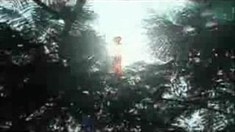 預(yù)告片