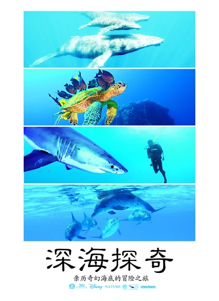 http://www.119127.cn/pics/default/download/fdd9a3998e3db95dda1bb4178ef0d628.jpg