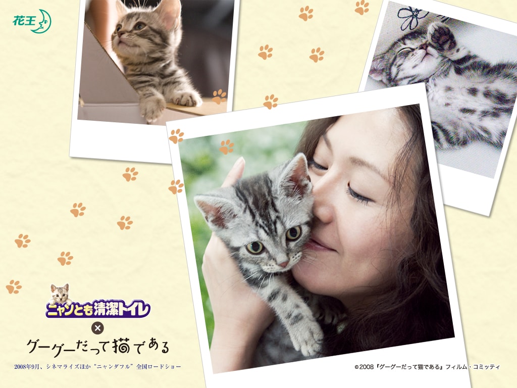 http://www.119127.cn/pics/default/download/fec435722d68b3f3dd350eb3003a5b4a.jpg