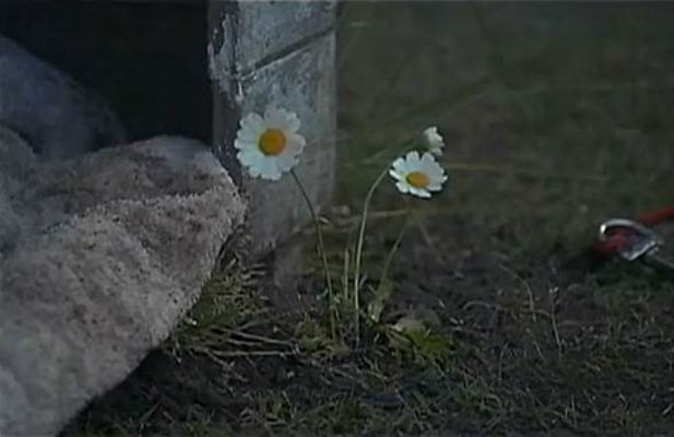 http://www.119127.cn/pics/default/download/fef83cb89a19d7aaf47a725d75c80d52.jpg