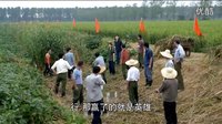 《兩人女人的戰爭》欣梅帶領女知青向男知青發起挑戰