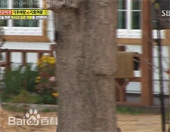 http://www.119127.cn/pics/star/pic/13a994a283c3e5cf69d399e2d09d755e.jpg