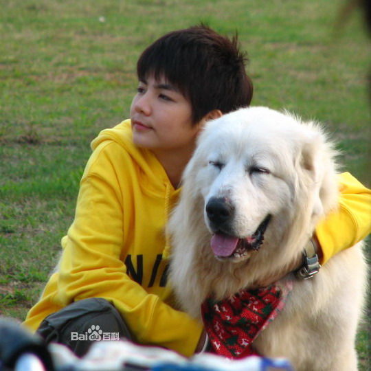 http://www.119127.cn/pics/star/pic/1f5b403069b84b5ecf7aa0d16a1b3c94.jpg