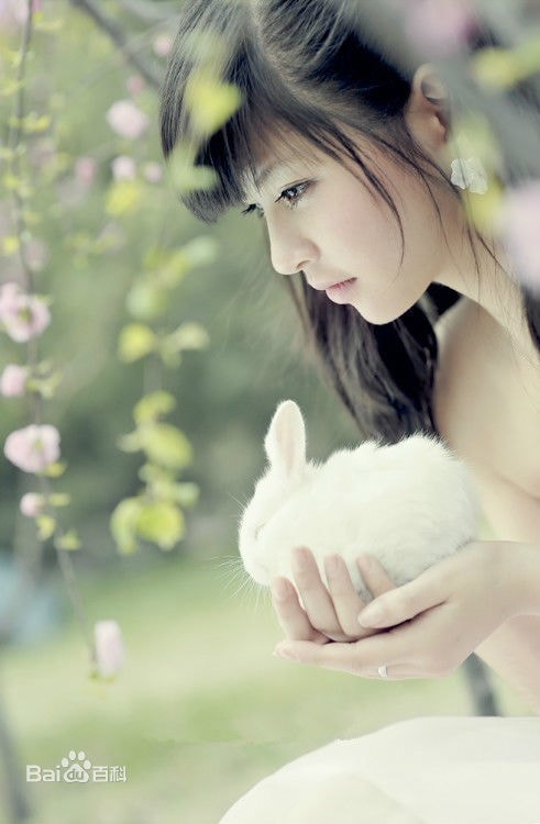 http://www.119127.cn/pics/star/pic/319762f5e5d0b25204b4a2c463d1b56c.jpg