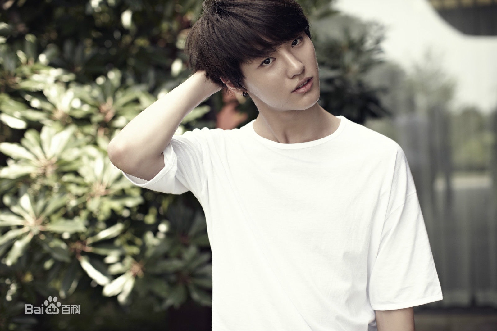 http://www.119127.cn/pics/star/pic/34a6922fdf50d767a3dea07e76553a00.jpg