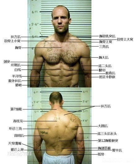 http://www.119127.cn/pics/star/pic/36cdc867c7af7bef9176763e8b25c728.jpg