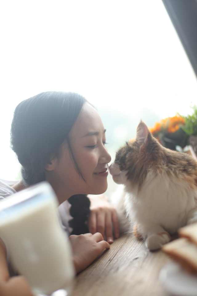 http://www.119127.cn/pics/star/pic/4949ecfa61eeeeb1b5229ff414ceb4a7.jpg