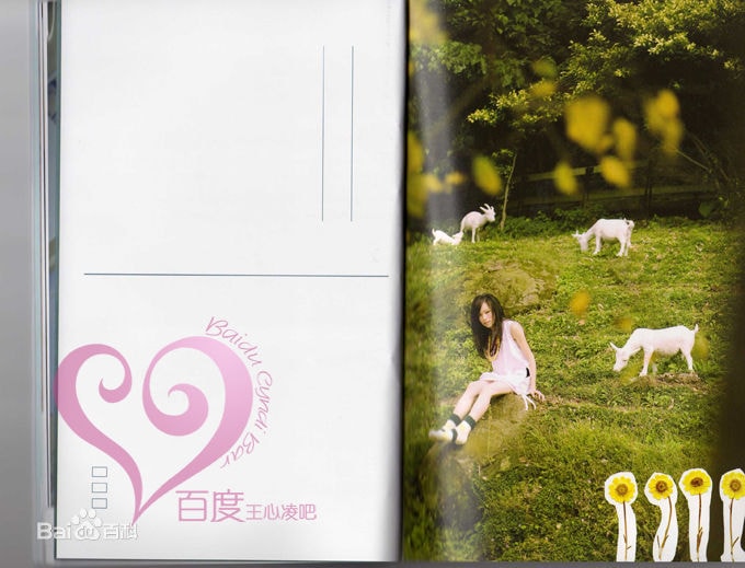 http://www.119127.cn/pics/star/pic/4a90c6da813574df2807fa1999891754.jpg