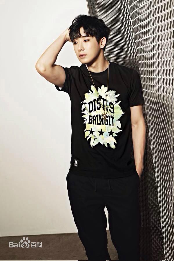 http://www.119127.cn/pics/star/pic/540357a4dc6a00273a3a5c0274d0a092.jpg