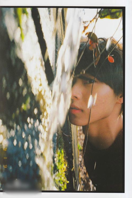 http://www.119127.cn/pics/star/pic/54ab64fc587fc5cf336484ca8eab2be2.jpg