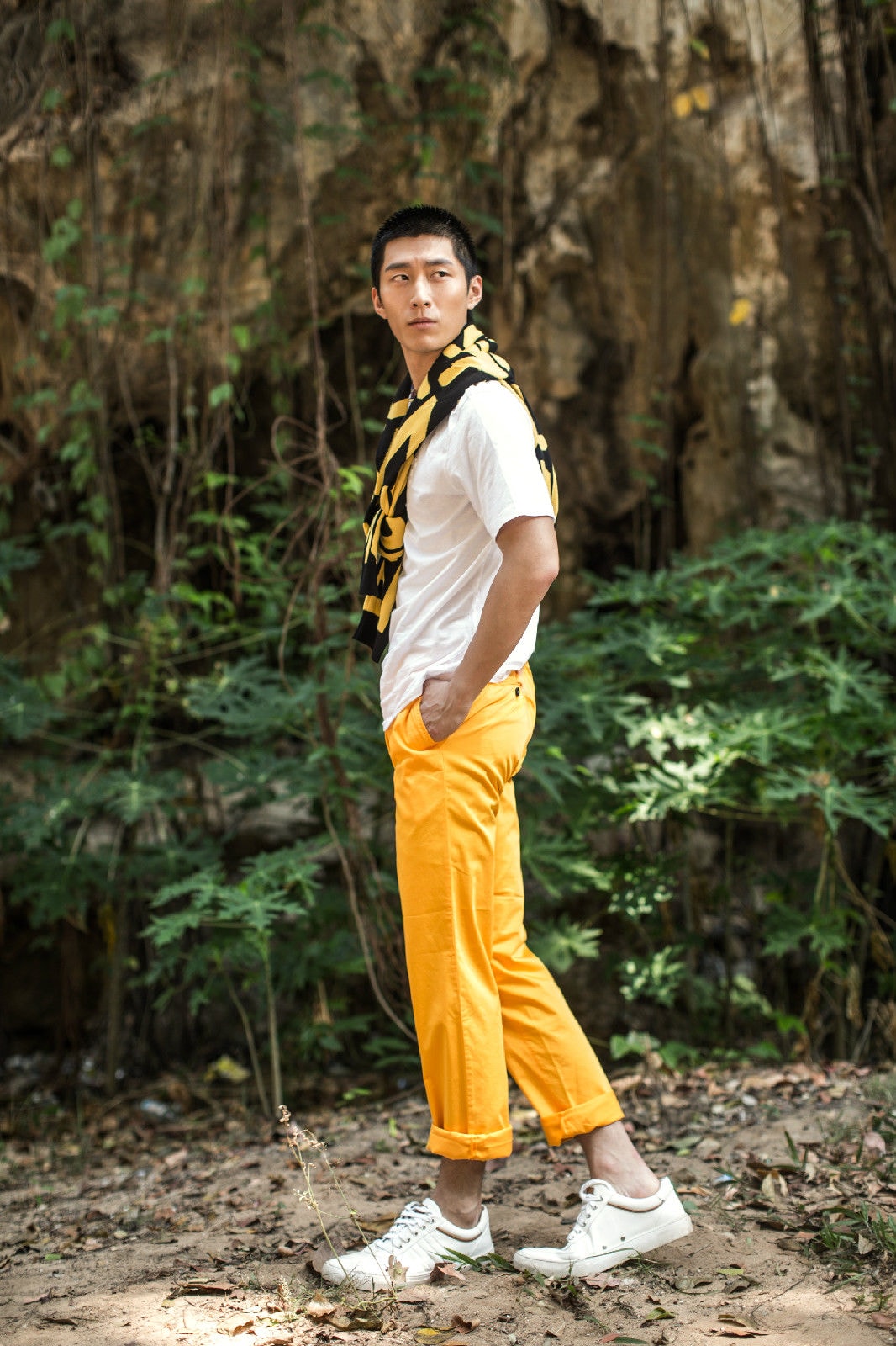 http://www.119127.cn/pics/star/pic/662e/d8c734855b40fdf8041b59bd31f8.jpg