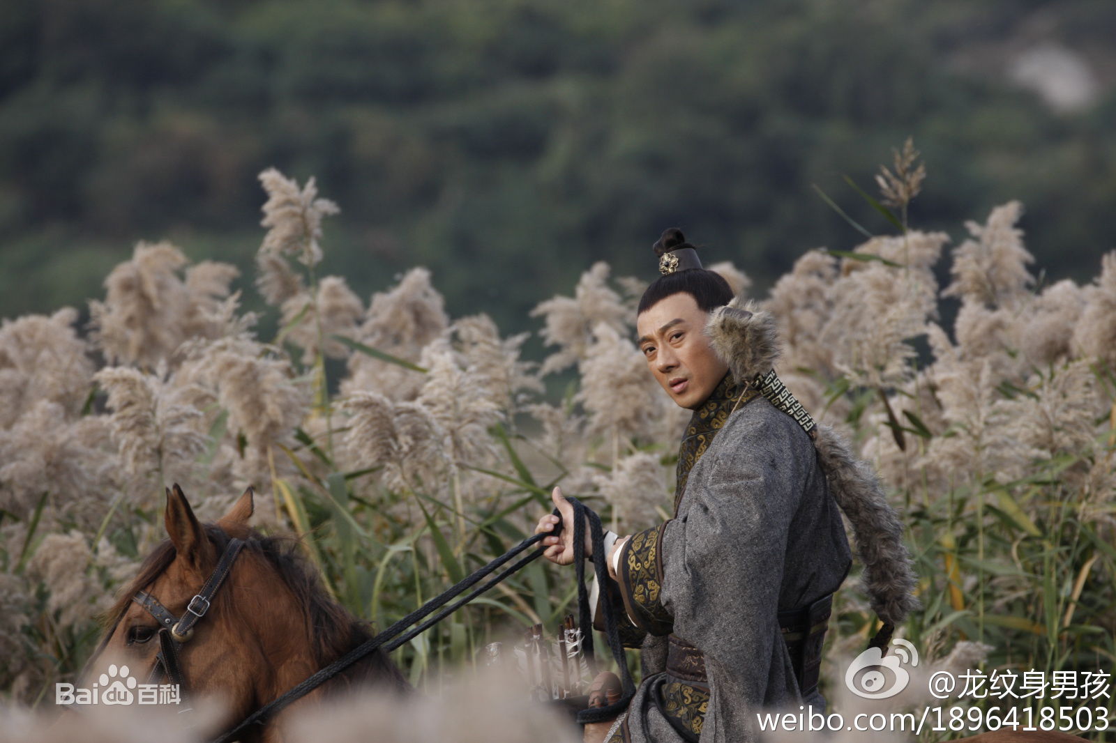 http://www.119127.cn/pics/star/pic/6af836fb86d6f0a7d1c6ed2cfbb7ca07.jpg