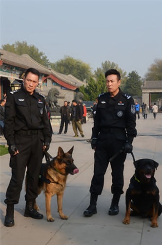 http://www.119127.cn/pics/star/pic/800f/e067d1a9d8bf95d354618ef3b523.jpg