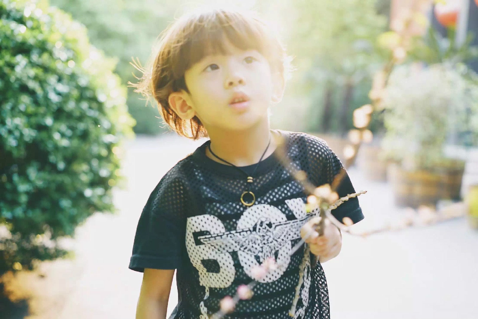 http://www.119127.cn/pics/star/pic/8563ad9f69bdd04c2939ba0885c67466.jpg