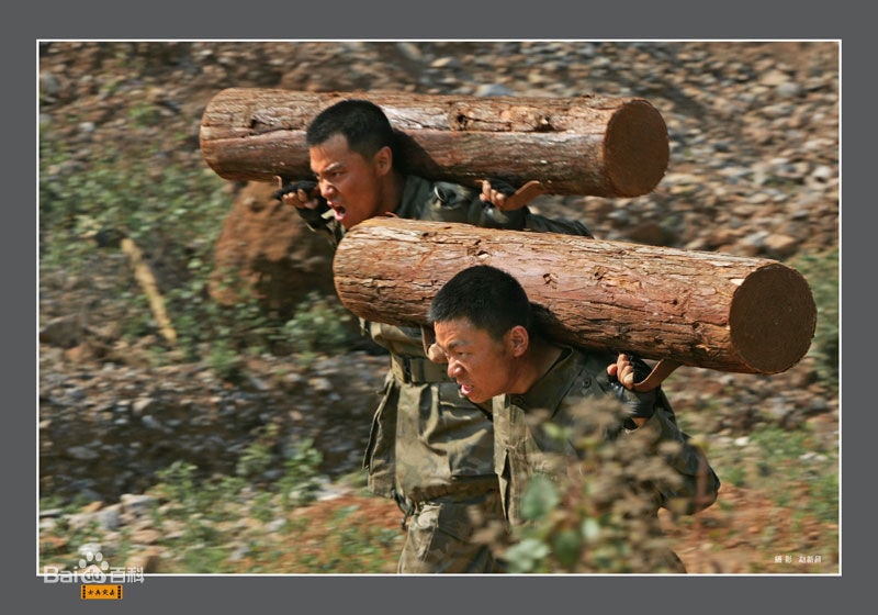 http://www.119127.cn/pics/star/pic/97c5b3f65f5d71be748e5a2038e7528a.jpg