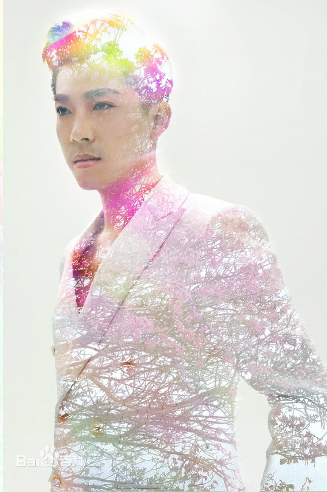 http://www.119127.cn/pics/star/pic/a1548d021c7102457fd07f5f2e255b71.jpg