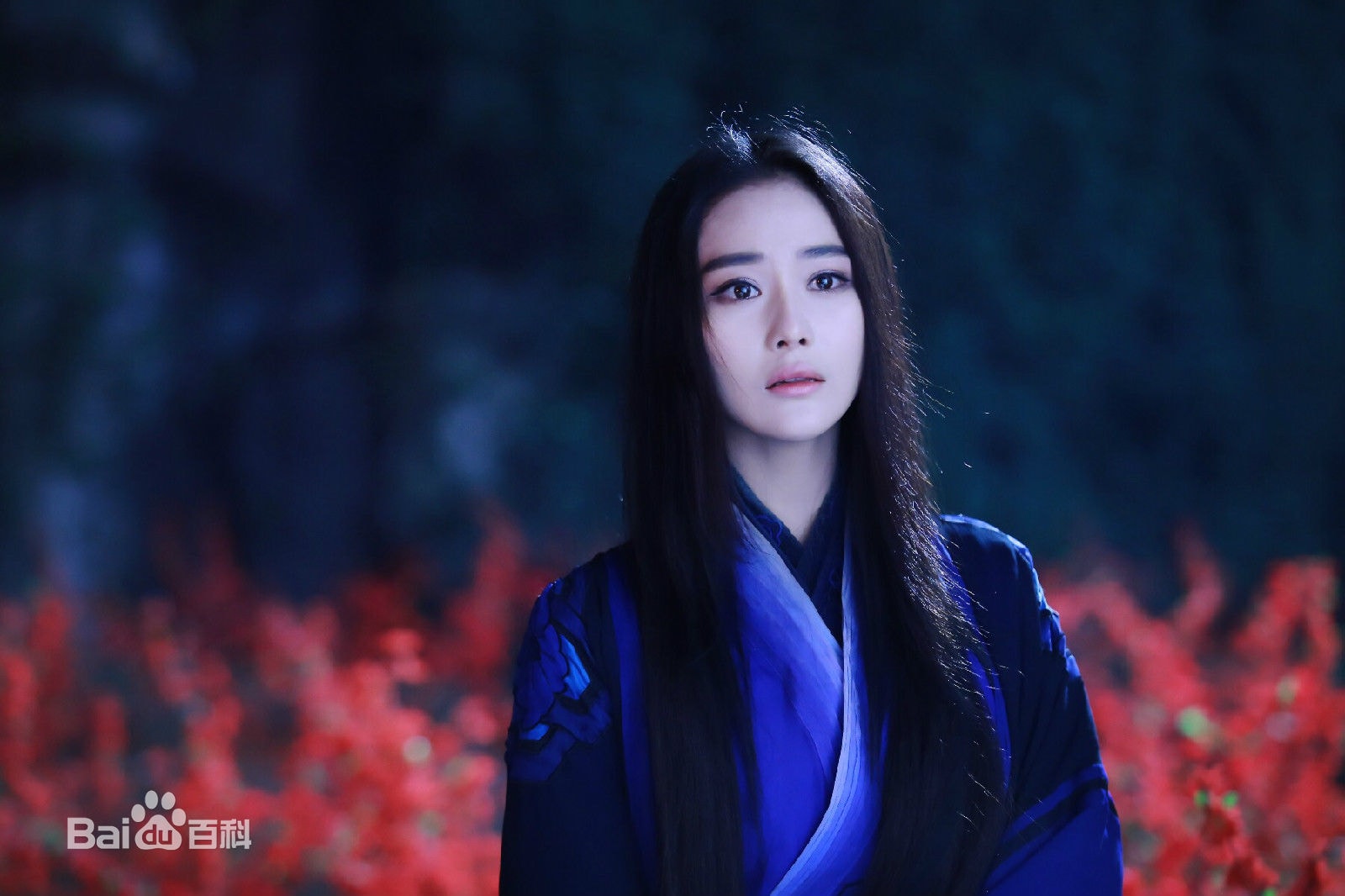 http://www.119127.cn/pics/star/pic/a424975a925b7fd188ebcd6de84aed67.jpg