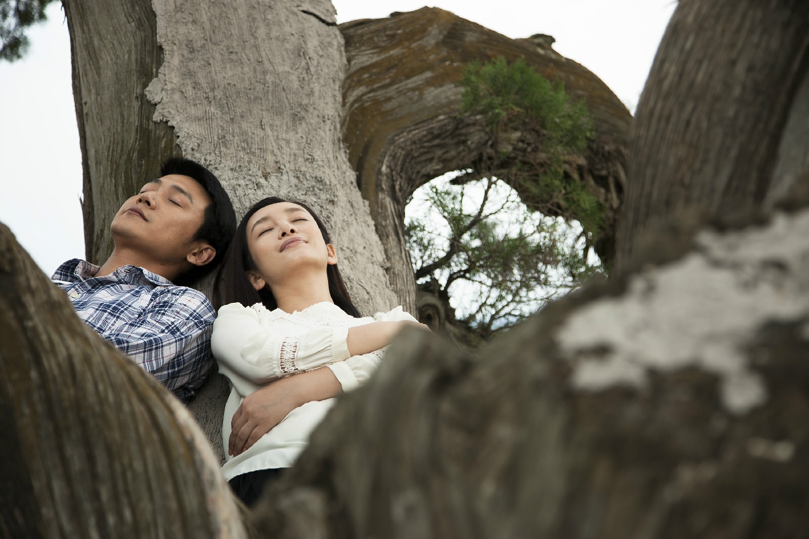 http://www.119127.cn/pics/star/pic/b7c1/e8d74f75782527484a9dffba428d.jpg