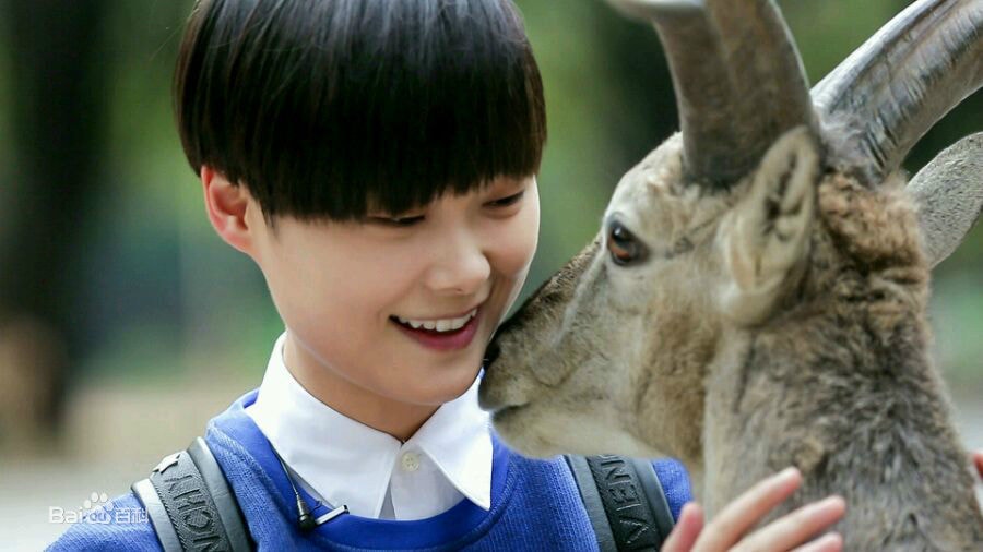 http://www.119127.cn/pics/star/pic/c71874a2c15eae639080d92de4e063a6.jpg
