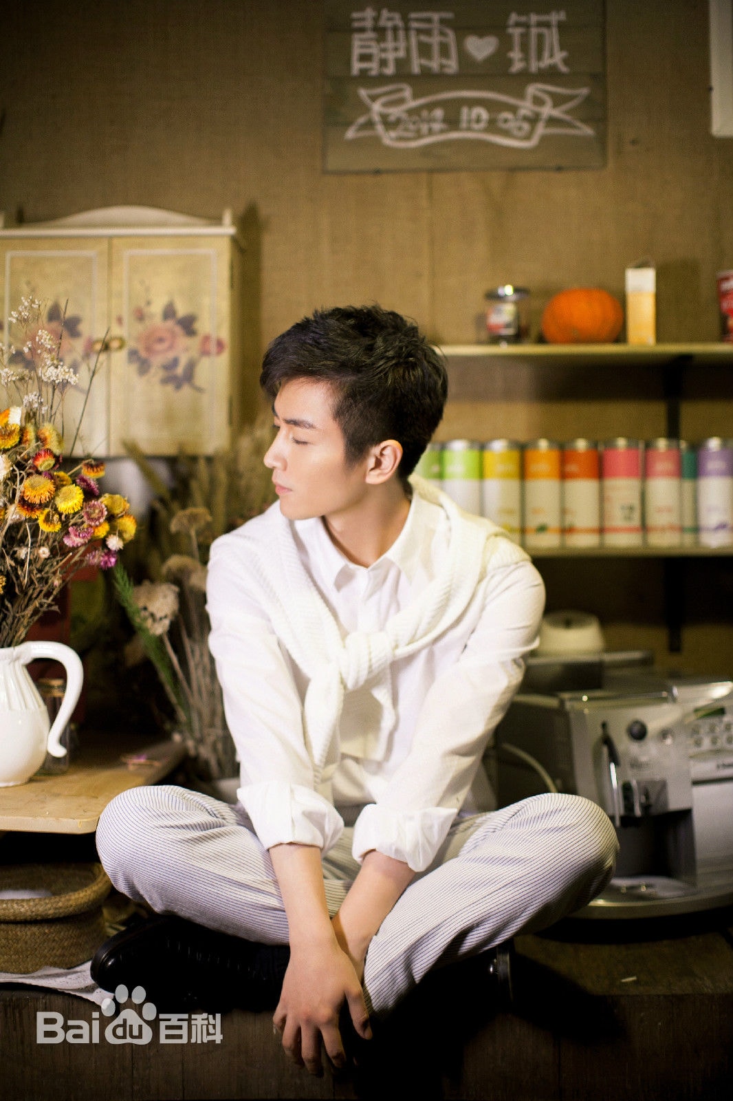 http://www.119127.cn/pics/star/pic/c83db328b678e94c3931def24c858105.jpg