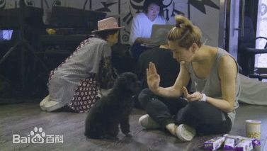 http://www.119127.cn/pics/star/pic/c91fb441e9a66d7c8a73bb9d1fef4517.jpg