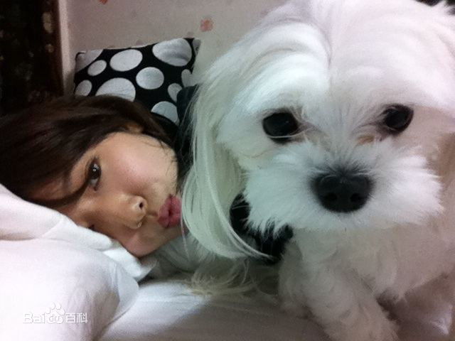 http://www.119127.cn/pics/star/pic/d216309c08c8130f5ba25d8dd01a88d3.jpg