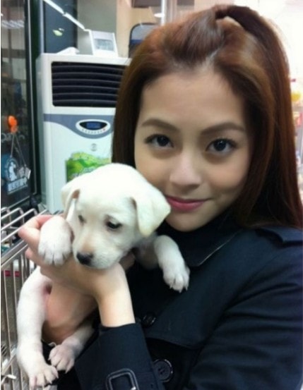 http://www.119127.cn/pics/star/pic/e76406833e8b5c00fc1af9f0a6ba27ed.jpg