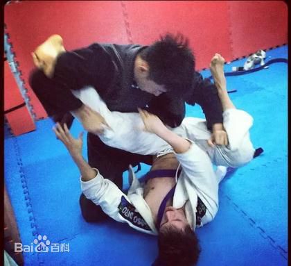 http://www.119127.cn/pics/star/pic/fa7fb87fbbb25223fa7343970364f59e.jpg