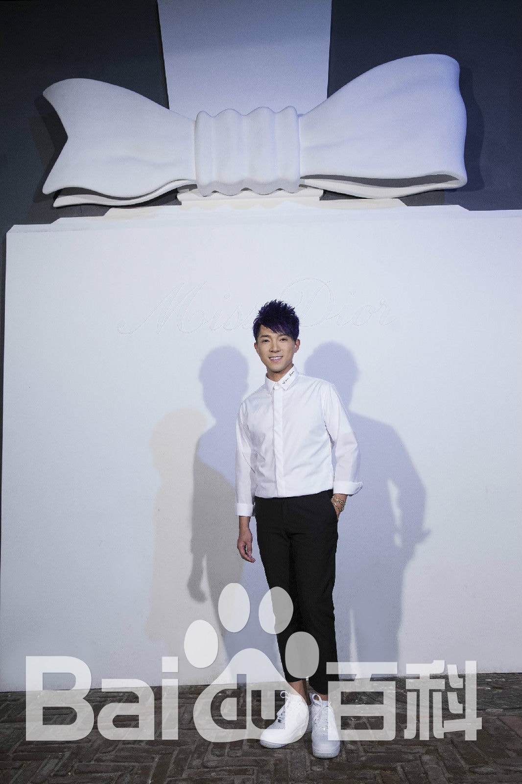 http://www.119127.cn/pics/star/pic/fe1ba75c0c34846b129fea15b49203d5.jpg